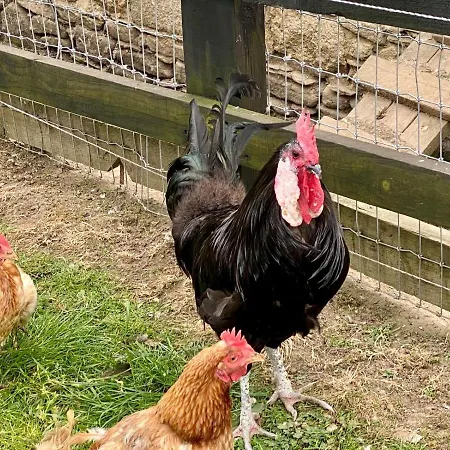 Traditional Old Style Σπίτι διακοπών