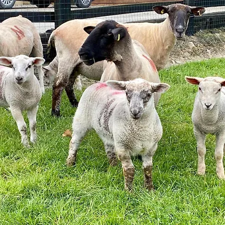 Traditional Old Style Ferienhaus