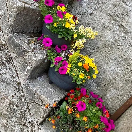 Traditional Old Style Σπίτι διακοπών Coolvally