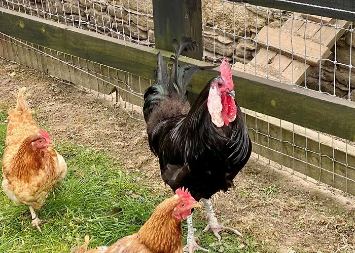 Traditional Old Style Σπίτι διακοπών