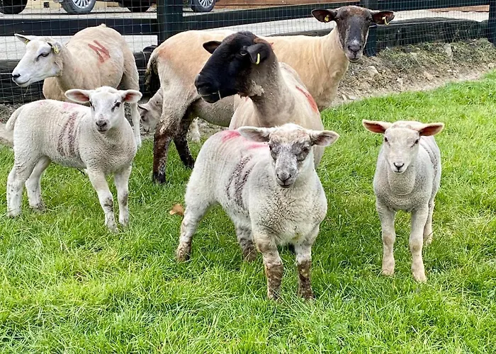Traditional Old Style Σπίτι διακοπών